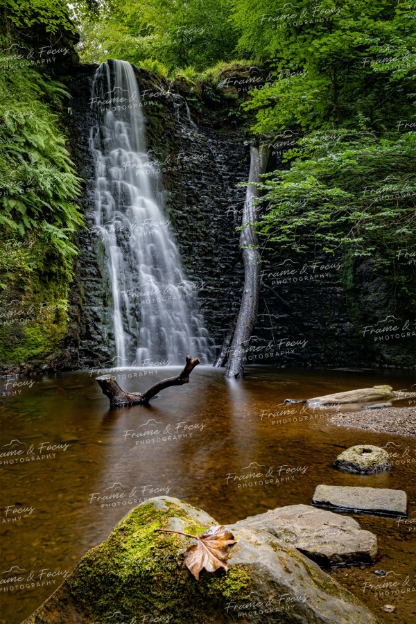 To buy a print or any of the below please click on the images